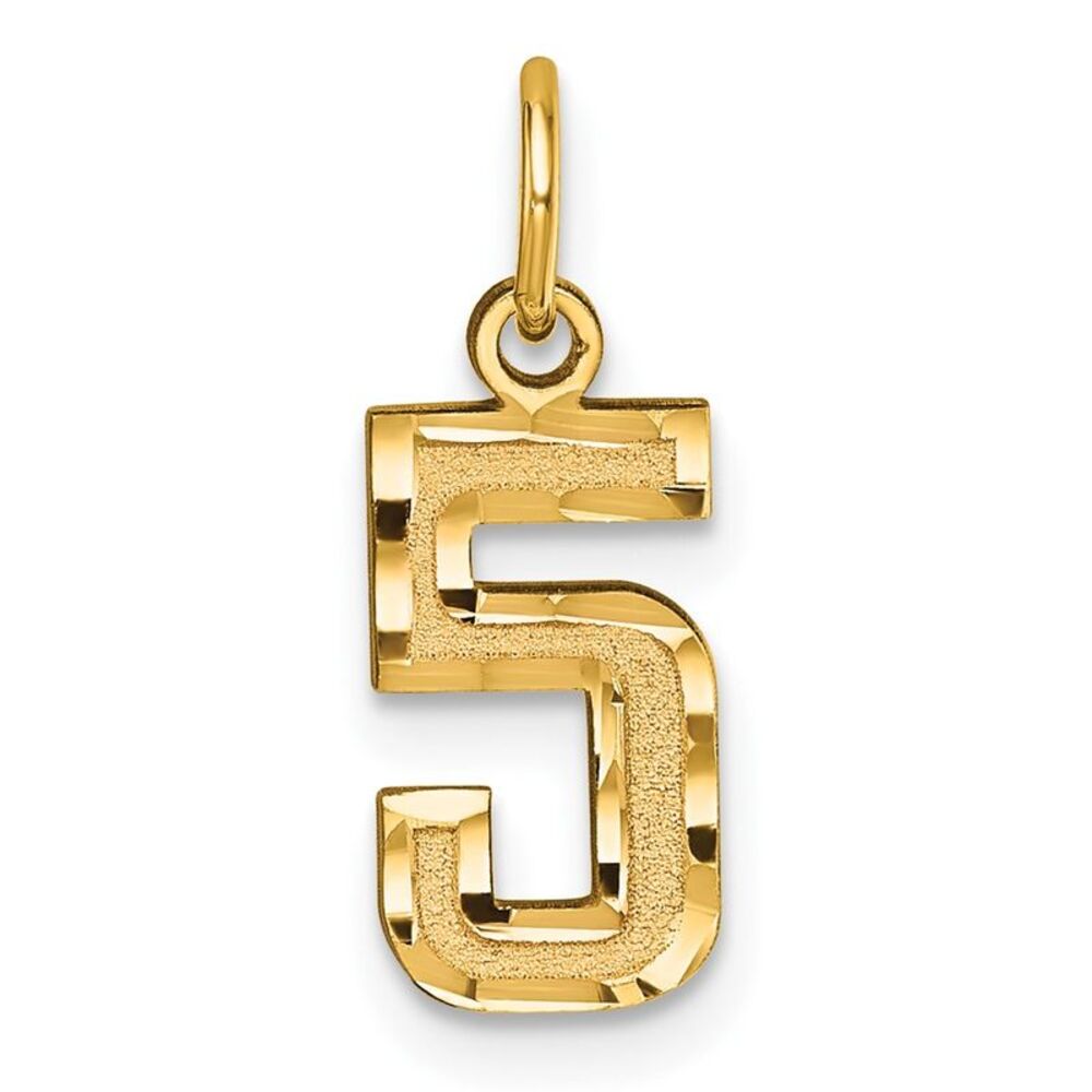 14k Yellow Gold, Varsity Collection, Small D/C Pendant Number 5
